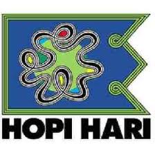 WWW.HOPIHARI.COM.BR, SITE HOPI HARI