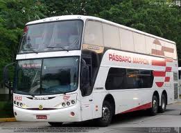 WWW.PASSAROMARRON.COM.BR, PÁSSARO MARROM HORÁRIO DE ÔNIBUS