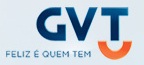 WWW.GVT.COM.BR, GVT BANDA LARGA