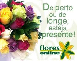WWW.FLORESONLINE.COM.BR, SITE FLORES ONLINE