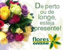 WWW.FLORESONLINE.COM.BR, SITE FLORES ONLINE