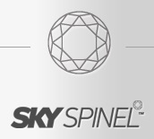 WWW.SKY.COM.BR/SPINEL, SKY SPINEL