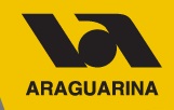 WWW.ARAGUARINA.COM.BR, VIAÇÃO ARAGUARINA, PASSAGENS, HORÁRIOS