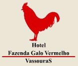 WWW.HOTELFAZENDAGALOVERMELHO.COM.BR, HOTEL FAZENDA GALO VERMELHO VASSOURAS
